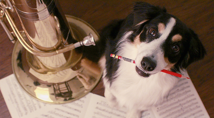 Music Practice Tips from a Dog